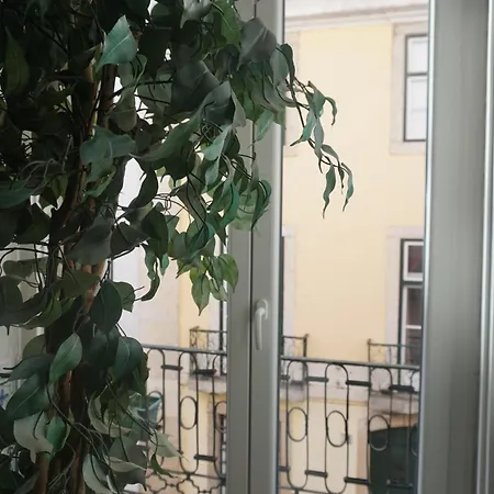 Hostel Lost Lissabon