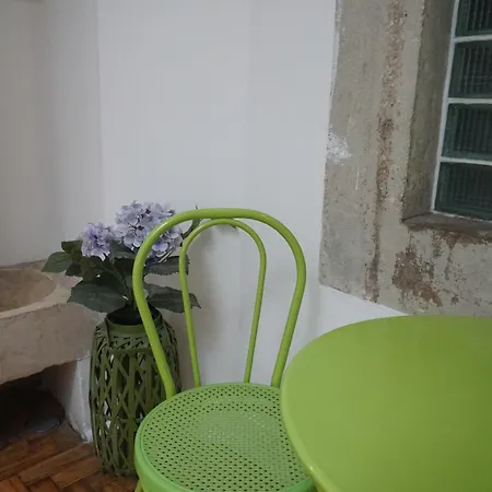 Lost بيت شباب