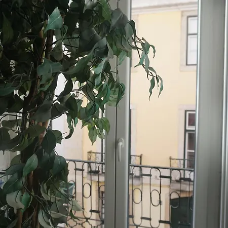 بيت شباب Lost Lisboa