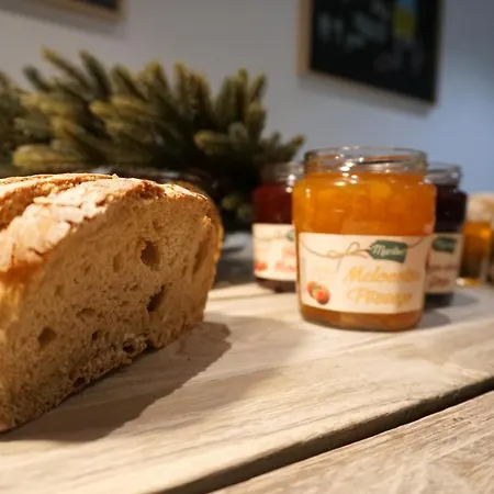 بيت شباب Lost Lisboa